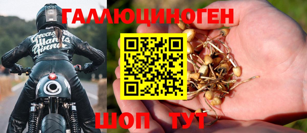 Галлюциногенные грибы прущие грибы Магнитогорск