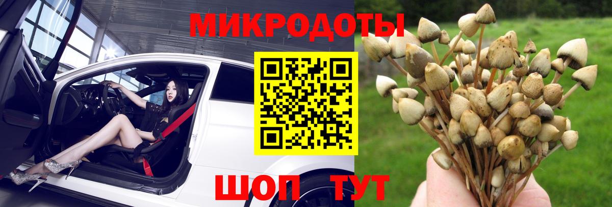 Магнитогорск  купить наркоту  Псилоцибиновые грибы MAGIC MUSHROOMS  Вход с VPN  Псилоцибиновые грибы мухоморы 